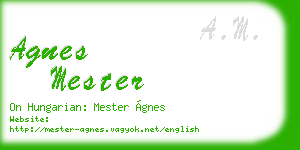 agnes mester business card